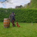 Das Wasserfaß und eine erste Idee